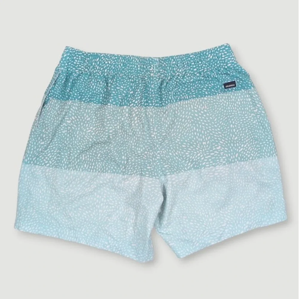 Chubbies Swim Trunks Men Large 5.5